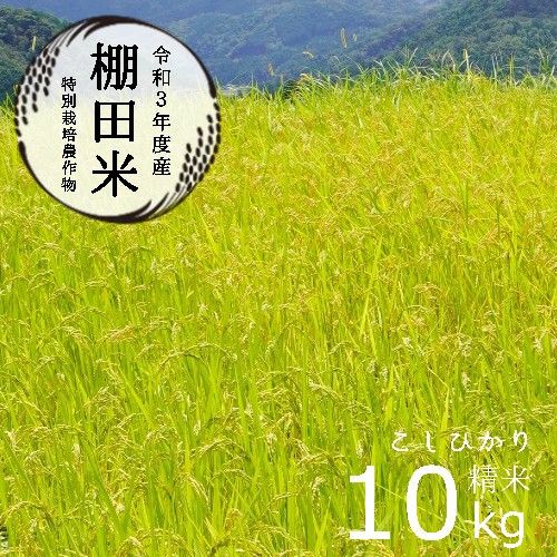 
栽培期間中農薬不使用 コシヒカリ 10kg 棚田米 白米 お米 おにぎり お弁当 京都 舞鶴 農家直送 こしひかり 減農薬 低農薬 ご飯 米 棚田
