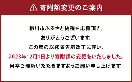 【受注生産】職人が一点一点丁寧に仕上げた力強い天然の木目が美しい サイド テーブル 。HIRASHIMA CARAMELLA Side Table 049 Low