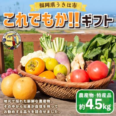 ふるさと納税 うきは市 道の駅うきは これでもか!!旬の農産物セット (約4.5kg)