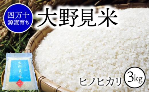 
            【 四万十源流 育ち 】特別栽培 大野見米 ヒノヒカリ 3kg ( 白米 ) ご飯 米 お米 ﾋﾉﾋｶﾘ 四万十
          