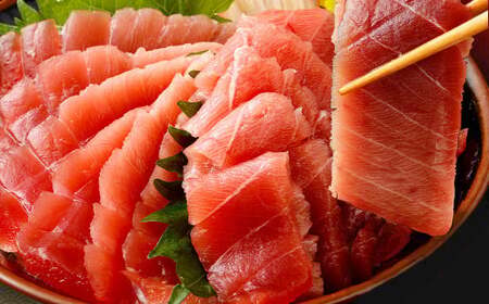 【３回定期便】天然本マグロ　中トロ　１柵　解凍書付 海鮮 魚介 鮪 惣菜 冷凍 クロマグロ お刺し身 刺身 寿司 海鮮丼 eb021