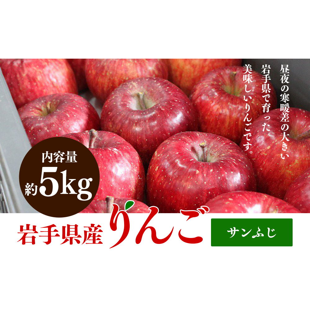 先行予約 りんご サンふじ 家庭用 5kg 14～20玉 季節限定 数量限定 リンゴ 林檎 果物 くだもの フルーツ 旬の果物 旬のフルーツ 限定 岩手 岩手県 盛岡市