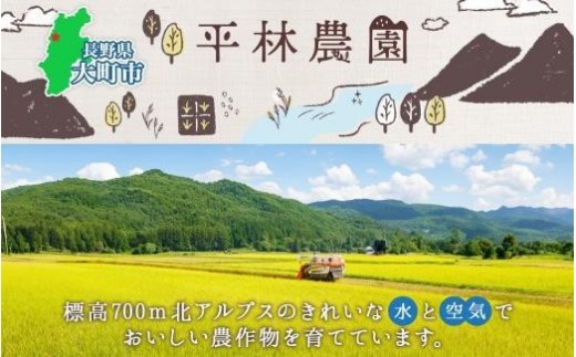 【2026年10月発送】令和8年産 風さやか 玄米 10kg×1袋 長野県産 米 お米 ごはん ライス 低GI 甘み 農家直送 産直 信州 人気 ギフト お取り寄せ 平林農園 送料無料 長野県 大町市