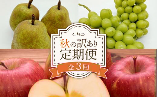 【2026年発送 先行予約】秋の訳あり くだもの定期便 (全3回)  マスカット ぶどう ブドウ 葡萄 デザート フルーツ 果物 くだもの 果実 食品 山形県 FSY-2698