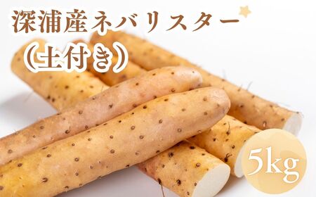 お届け：2026年12月中旬～2027年2月下旬　深浦町産 ネバリスター 約5kg 土つき 長芋[fu-0022-001]