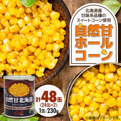 ふるさと納税 伊達市 【北海道の契約農家で栽培】自然甘 ホールコーン　230g×48缶(24缶×2ケース)　とうもろこし