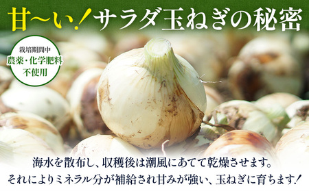 海と潮風のカレー 850g (170g × 5個) ゆいやわす《30日以内に出荷予定(土日祝除く)》