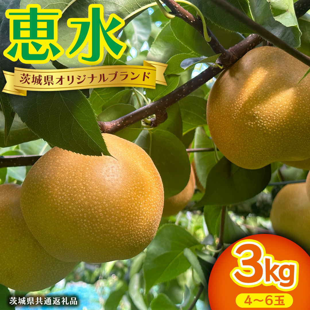 恵水 約 3kg 4～6玉 (茨城県共通返礼品:かすみがうら市) 2026年 マスカット ぶどう 葡萄 ブドウ フルーツ 果物 くだもの 旬 食べ比べ セット 詰め合わせ 国産 産地直送 ギフト 贈答 プレゼント 手土産 お土産 [DH024sa]