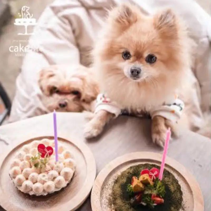 鹿肉のタルトケーキ風white（犬用）12cm【ペットフード ペット 動物 犬 餌 エサ 小型犬 愛犬 愛犬家 愛犬用 おやつ デザート 手作り タルト ケーキ 鹿肉 鹿 肉 健康 おやつ 犬用 ペッ