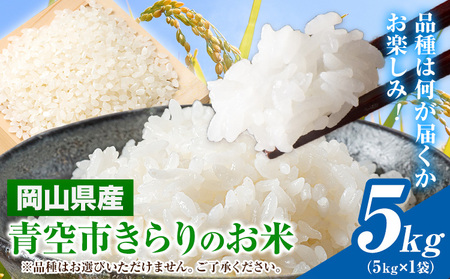 令和7年産 青空市きらりのお米 5kg《30日以内に発送予定》