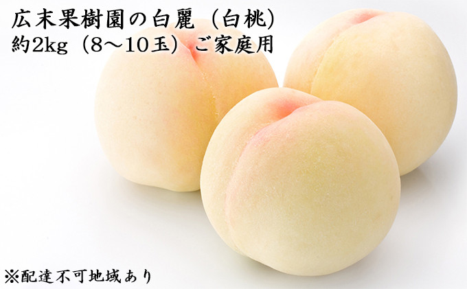 
もも 2024年 先行予約 ご家庭用 白麗（ 白桃 ） 約2kg（8～10玉） 広末果樹園 岡山 桃 モモ 果物 フルーツ
