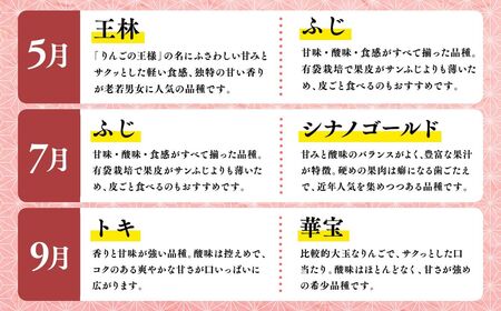 【5月発送開始】隔月配送　定期便3回　特選　甚八りんご　３kg　【青森県 平川市 マルジンサンアップル】1月 3月 5月 7月 9月 11月贈答用 青森 青森県産 平川 りんご リンゴ 林檎 くだもの