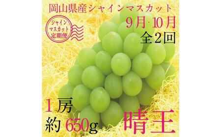 [HS]【定期便 全2回】ぶどう 2026年 先行予約 9月・10月発送 シャイン マスカット 晴王 1房 約650g ブドウ 葡萄  岡山県産 国産 フルーツ 果物 ギフト