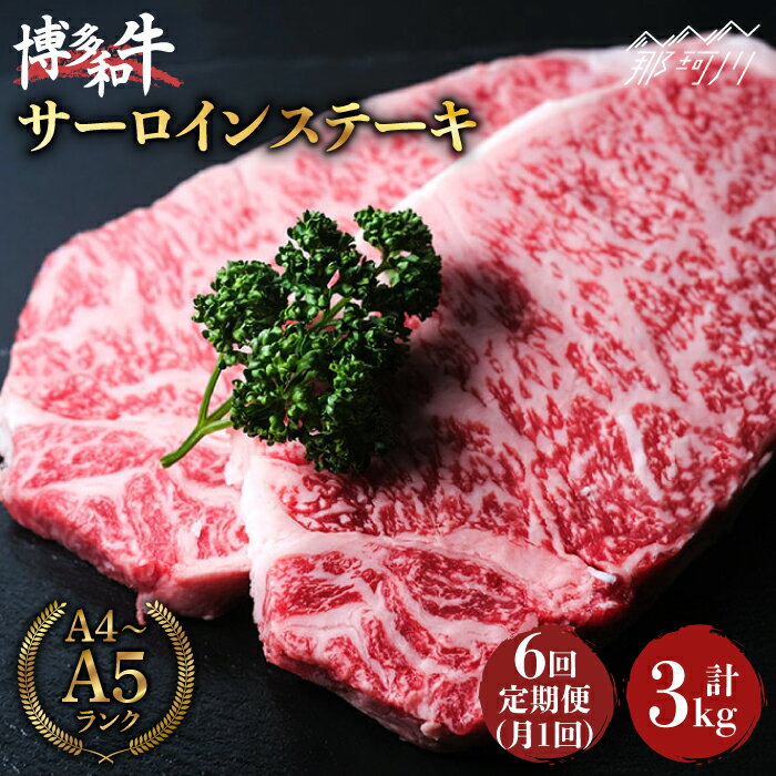 【ふるさと納税】【全6回定期便】大満足！ 博多和牛 牛肉 サーロイン ステーキ 500g（250g×2）＜肉のくまもと屋＞那珂川市 | 定期便 牛肉 肉 黒毛和牛 ブランド牛 国産 BBQ バーベキュー [GBI034] 160000 16万円