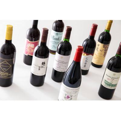 ふるさと納税 韮崎市 赤ワイン好き必見!赤ワイン9本 飲み比べセット　750ml×8本　720ml×1本 |  | 01