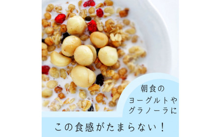 【大粒厳選！】煎りたて直送！ マカダミアナッツ 600g 送料無料 ナッツマカダミア 無塩 おやつ