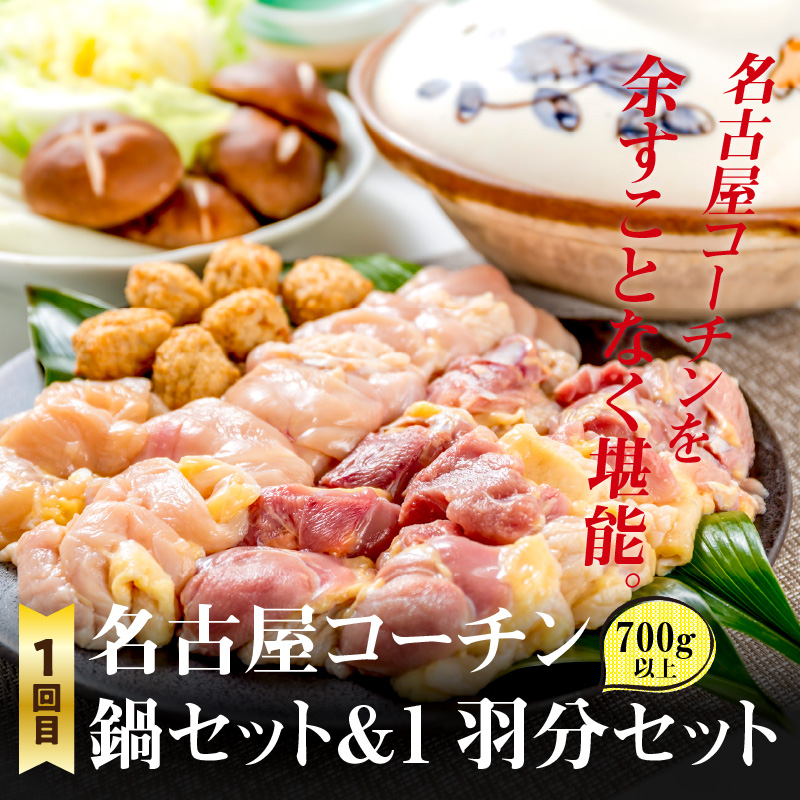 【半年に1回　計2回定期便】名古屋コーチン鍋&amp;名古屋コーチン1羽分セット・名古屋コーチン焼鳥セット