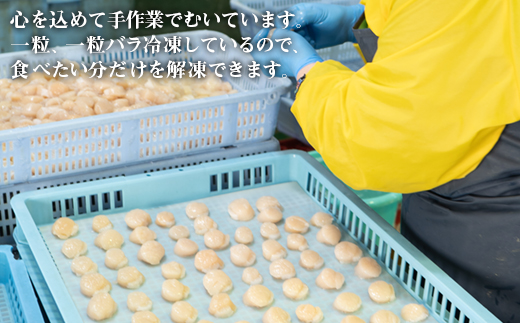 【北海道産】【緊急支援品】お刺身用 ホタテ貝柱 1.2kg （300g×4袋） 玉冷 生食用 小分け 事業者支援 中国禁輸措置