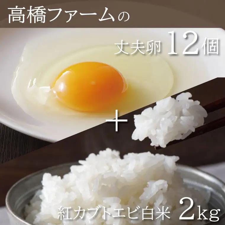 たまご 12個 & 白米 2kg 平飼い もみじ AQ006
