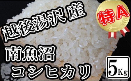 令和5年産「越後湯沢産」精米5kg【湯沢産コシヒカリ】