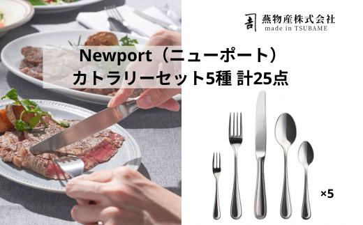 
                  【新潟県燕市製造】TBCL ニューポート カトラリー5種 デザート25本セット FC090037
                