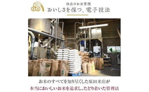 薩摩エース お米マイスター厳選 特A 5㎏×2袋（10kg）お米 精米 