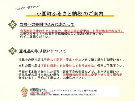 【豊作市場】店長おすすめ！季節の詰め合わせ（5-7品）