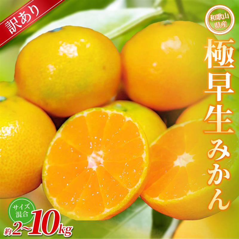 【ふるさと納税】【訳あり】手選別 極早生みかん 約2kg ~約10kg 和歌山県産 2S~2Lサイズ混合※2025年10月上旬～下旬頃に順次発送