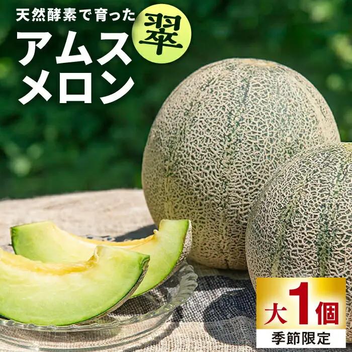 先行予約 メロン 大 1個 [JAZ007] アムスメロン