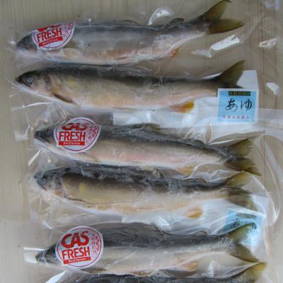 ふるさと納税 津和野町 【天然】清流・高津川で獲れる天然鮎とモクズガニ[CAS冷凍]セット |  | 03