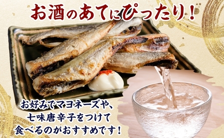 こまい魚貝類北海道産こまい干し化粧箱入こまい【約1kg(500g×2)】