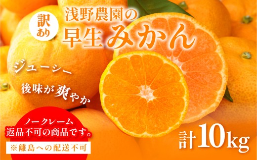 【先行予約】浅野農園の早生みかん 訳あり計10kg ※離島への配送不可（2026年11月上旬～11月中旬頃に順次発送予定）   【柑橘 みかん ミカン フルーツ 果物 愛媛】 IKTAC013