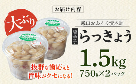 【2026年7月中旬以降順次発送】らっきょう 1.5kg（唐辛子）らっきょ ラッキョウ 辣韭 [ABDO003]