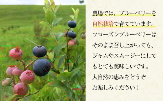 久住高原童心回帰農場の自然栽培 フローズン ブルーベリー 1㎏ 冷凍