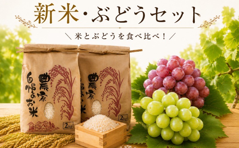 
                  【9月より順次発送】 米 ぶどう 食べ比べ セット 新米 コシヒカリ ミルキークイーン シャインマスカット 房 クインニーナ バラ 鉾田市産シャインマスカット マスカット しゃいんますかっと シャインマスカット クイーンニーナ 茨城県 鉾田市 ブドウ 茨城県産シャインマスカット 期間限定 先行予約 茨城 鉾田 ほこた SUGAYA Spring Farm
                