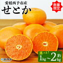 【ふるさと納税】先行予約 数量限定＜愛媛西予市産 せとか 約1kg／2kg＞ 果物 くだもの フルーツ 柑橘類 ミカン みかん 甘い 特産品 糖度 家庭用 自宅用 産地直送 渡江から一歩を踏み出す会 食べて応援 愛媛県 西予市 【常温】『2025年3月上旬～3月下旬迄に順次出荷予定』