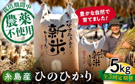 【全3回定期便】 糸島産 雷山のふもとの米 農薬不使用 5kg 糸島市 / ツバサファーム [ANI003] 白米 玄米