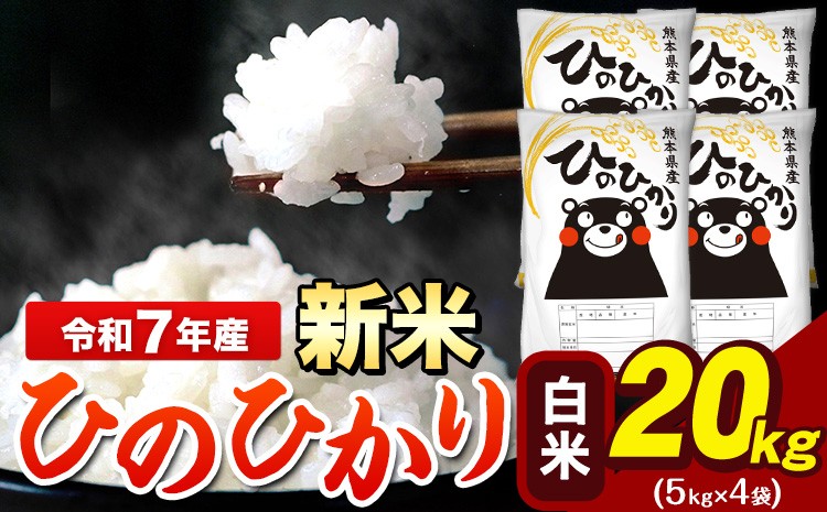 
            新米 令和7年産  ひのひかり 白米 20kg 《12月中旬-2月末頃出荷》 5kg×4袋 熊本県産（荒尾市産含む） 米 精米 ひの
          