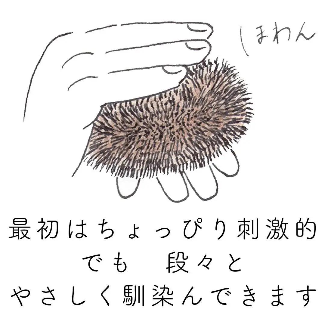高田耕造商店 しゅろのやさしいたわし からだ用 ねじり 紐付き