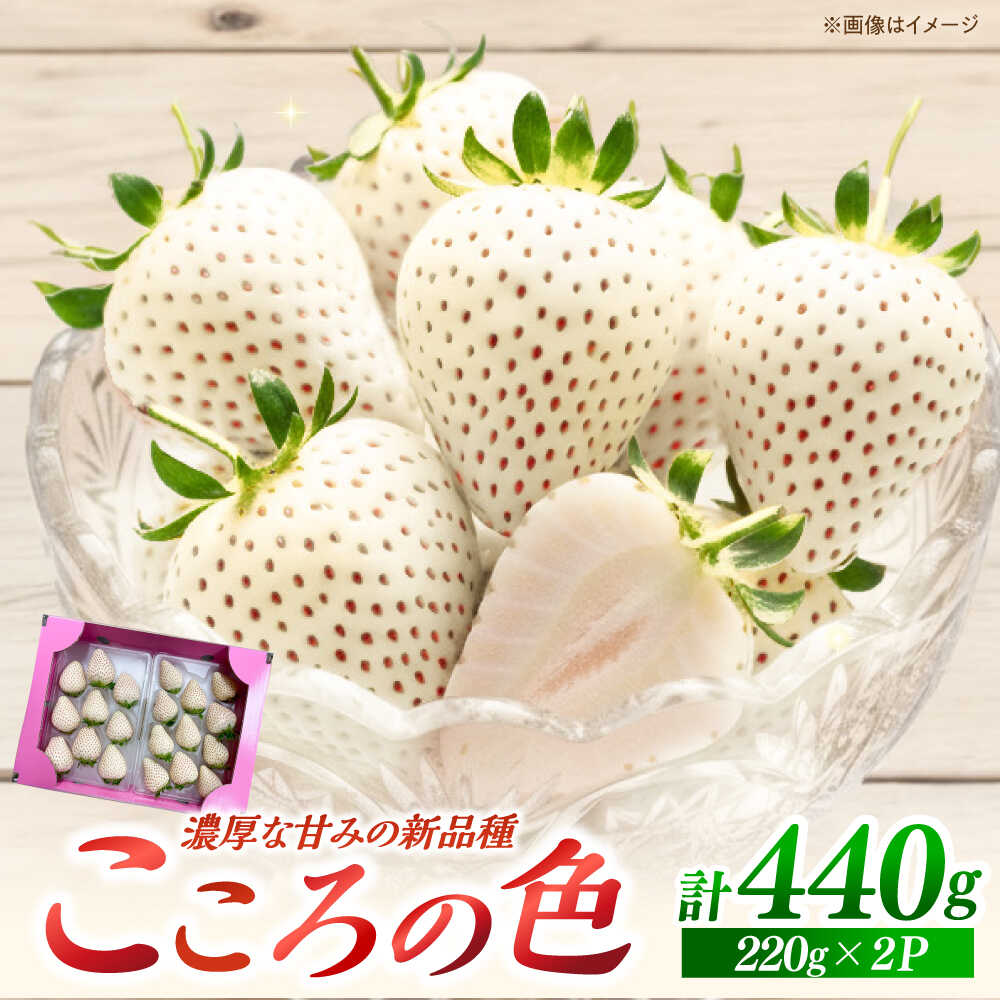 【ふるさと納税】【先行予約 2027年2月以降発送】新品種 白石町産 白いちご 「こころの色」 220g×2パック【鐘ヶ江農園】 佐賀県 白石 [IBH016]