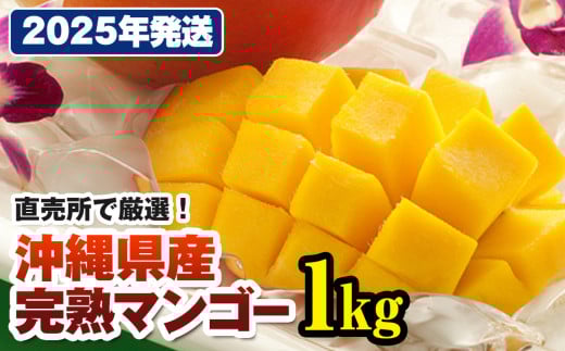 【2025年発送】直売所で厳選　沖縄県産「完熟マンゴー」1kg