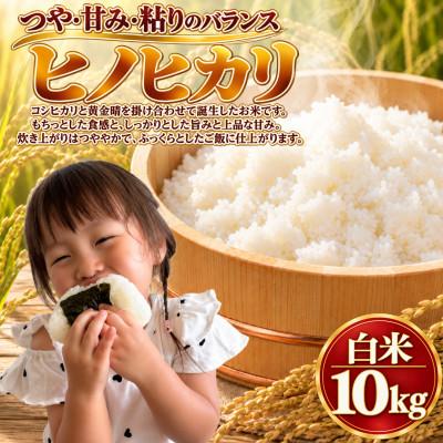 ふるさと納税 柳川市 【令和8年産】ヒノヒカリ 白米 10kg
