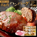 【ふるさと納税】ハンバーグ 150g 6枚《レビューキャンペーン対象》 | 温めるだけ 肉 国産 高級 上質 お取り寄せ グルメ 冷凍 詰め合わせ セット 冷凍 ギフト 内祝い お祝い 京都