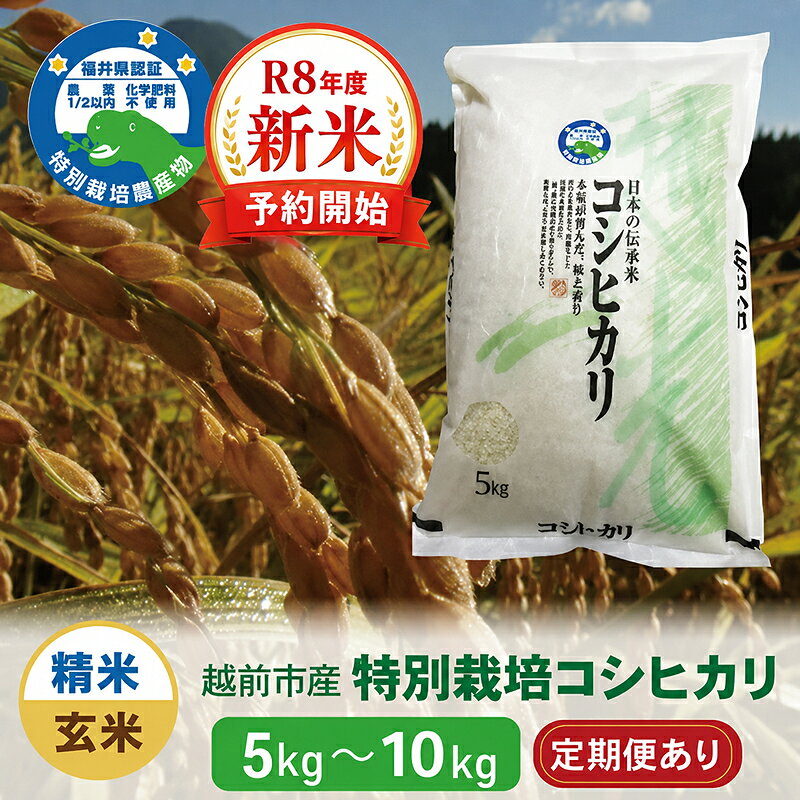 【ふるさと納税】先行予約【令和8年度・新米】特別栽培 越前市産コシヒカリ 5kg〜10kg 合計5kg〜10kg 精米 玄米 定期便/ 送料無料 福井県 越前市 米 コシヒカリ 減農薬 新生活 (18209)