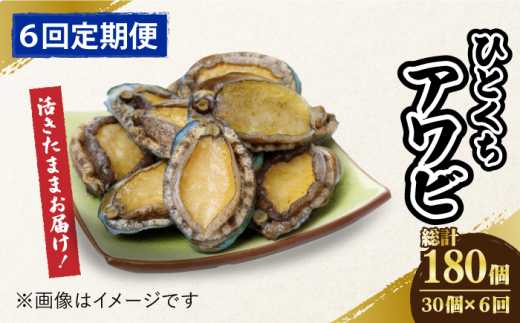 【全6回定期便】【活きたままお届け！】 上五島産 養殖 ひとくち アワビ 活 厳選 30個 刺身 ステーキ 生 【豊建設株式会社】 [RAE010]