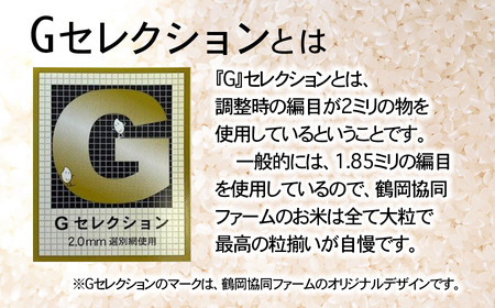【令和8年産先行予約】 特別栽培米雪若丸 無洗米 10kg (5kg×2袋) ×6ヶ月【定期便】 山形県鶴岡産　鶴岡協同ファーム