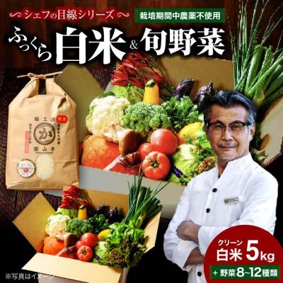 ふるさと納税 大洲市 栽培期間中農薬不使用!旬のお野菜セット+クリーン白米【ふるさと納税限定】 [AGBX009]