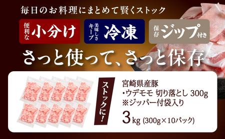 都城産豚切り落とし3kg(ジッパー付袋入り)_13-1510_(都城市) 都城豚肉 総重量3kg切落とし 300g×10パック チャック付き 小分け 冷凍 省スペース ウデ肉 モモ肉 ストック 豚肉 