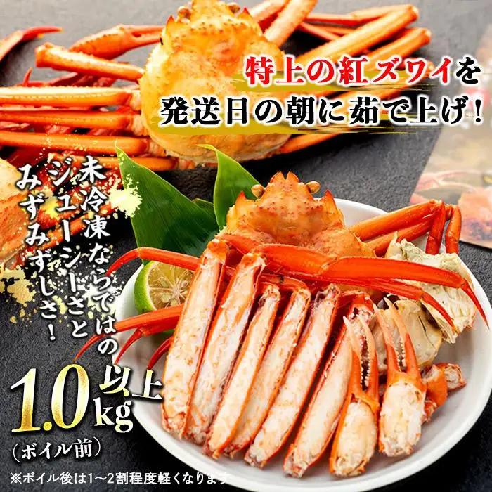 カニ 2026年12月発送 訳あり ボイル紅ズワイガニ 2～3杯セット かに 蟹 冷蔵