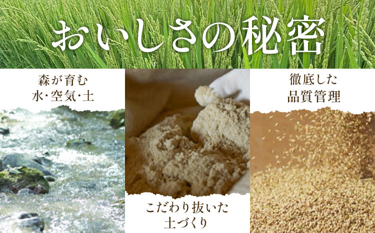 令和7年産 ゆめぴりか 5kg 5kg×1袋 田中農園《90日以内に出荷予定(土日祝除く)》北海道 日高町 米 白米 精米 お米 北海道日高町